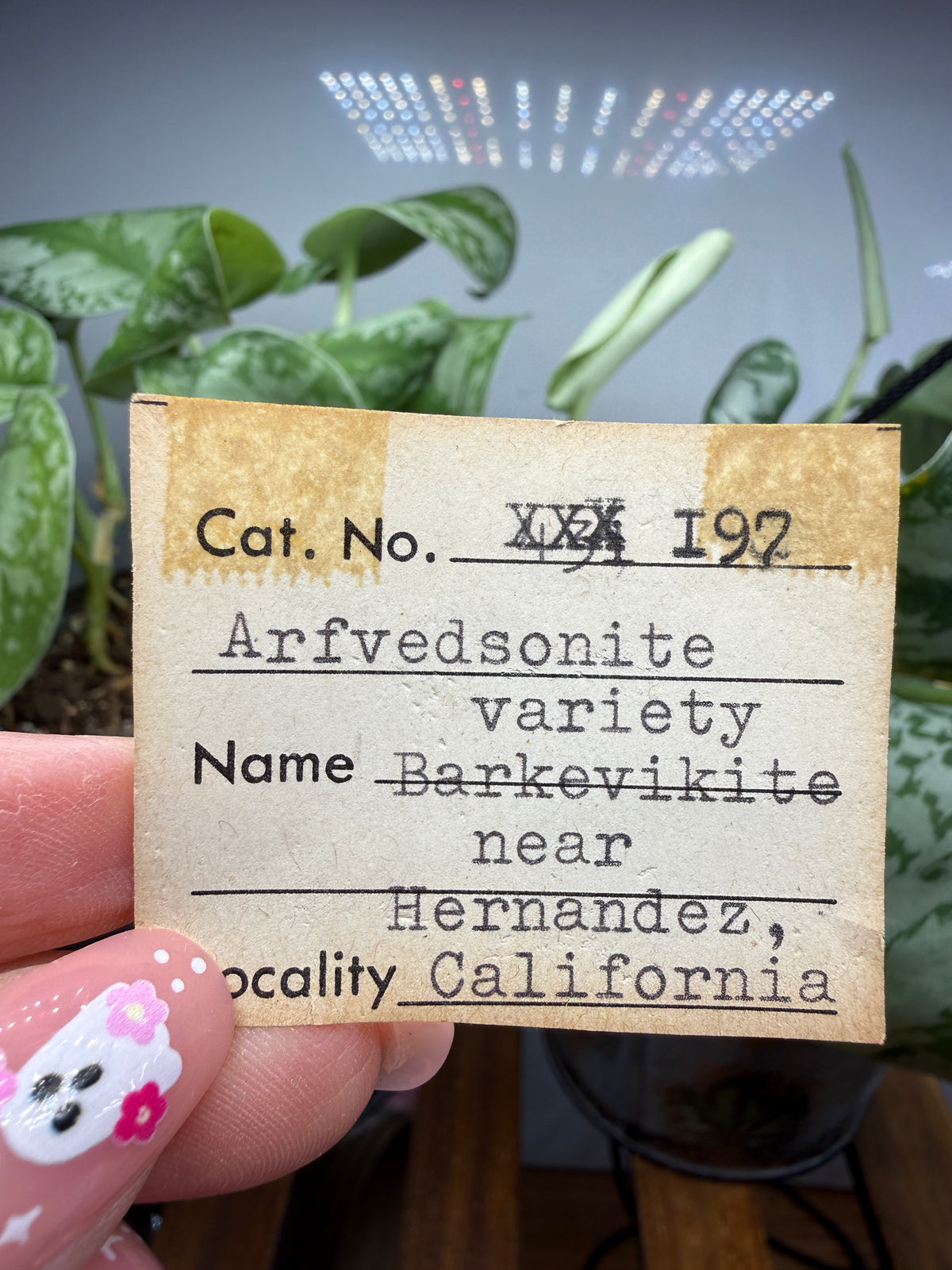 Arfvedsonite (Barkevikite Variety)- Near Hernandez, California, USA