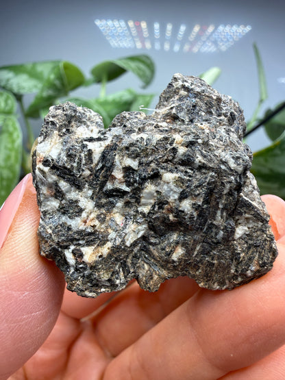Arfvedsonite (Barkevikite Variety)- Near Hernandez, California, USA