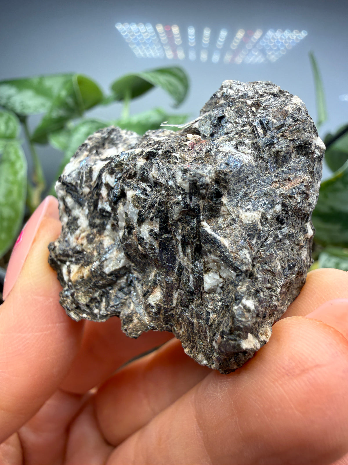 Arfvedsonite (Barkevikite Variety)- Near Hernandez, California, USA