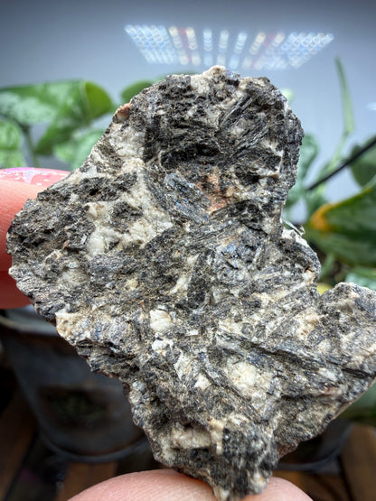 Arfvedsonite (Barkevikite Variety)- Near Hernandez, California, USA