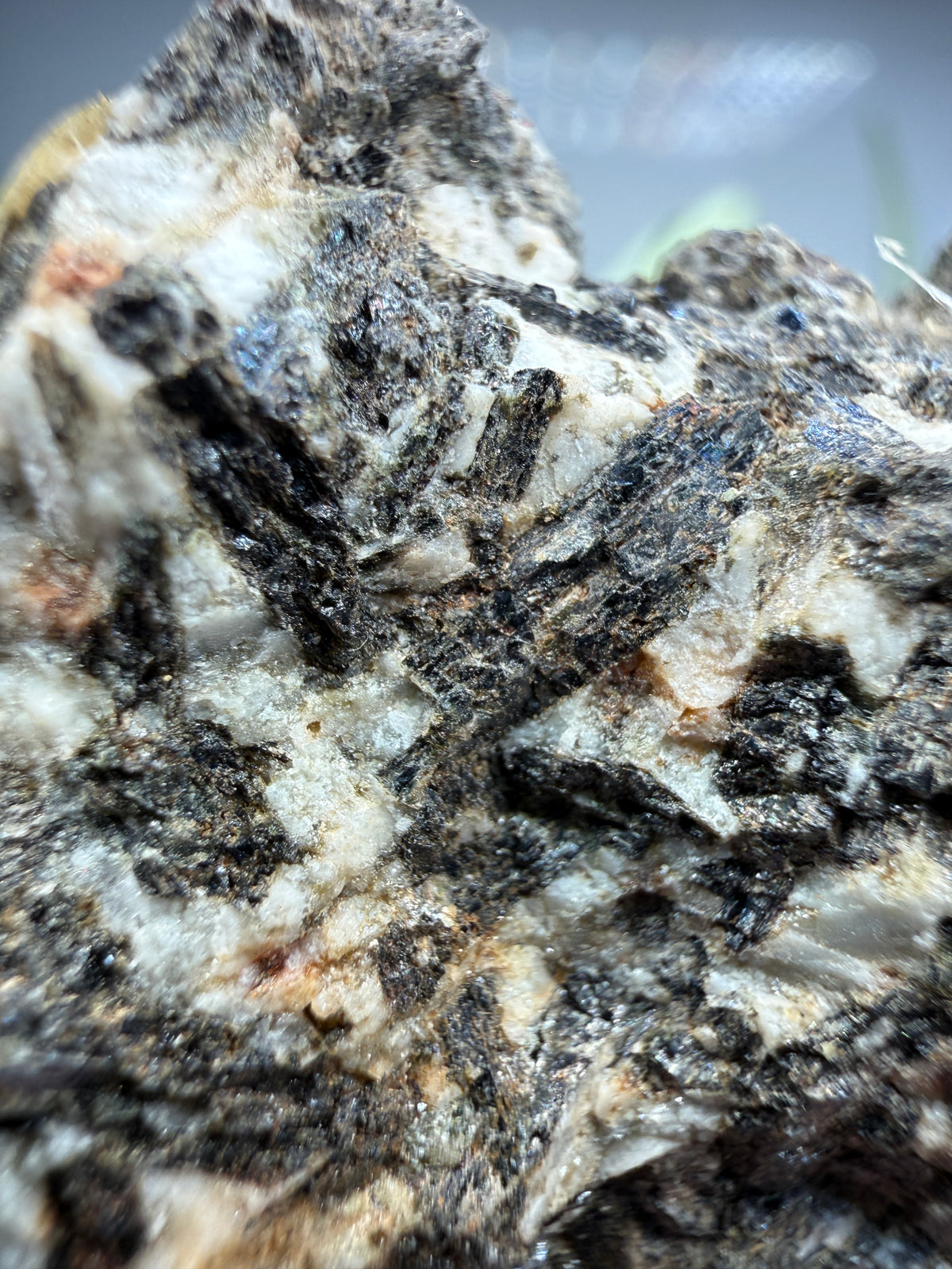 Arfvedsonite (Barkevikite Variety)- Near Hernandez, California, USA