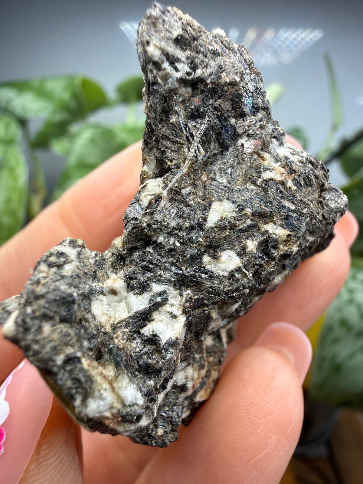 Arfvedsonite (Barkevikite Variety)- Near Hernandez, California, USA