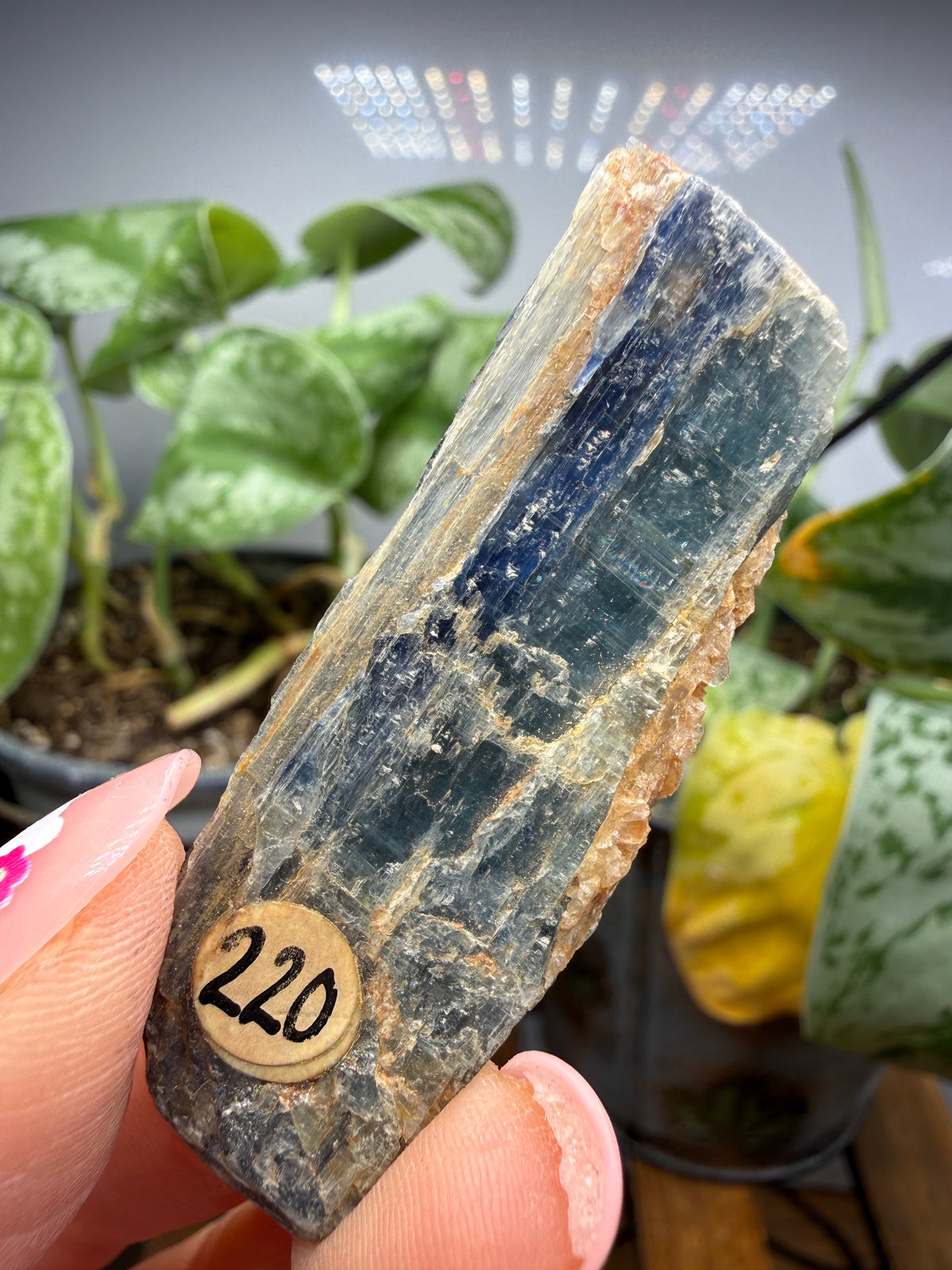 Kyanite (Blue)- Sultan Hamud, Makueni County, Kenya
