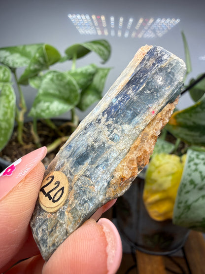Kyanite (Blue)- Sultan Hamud, Makueni County, Kenya