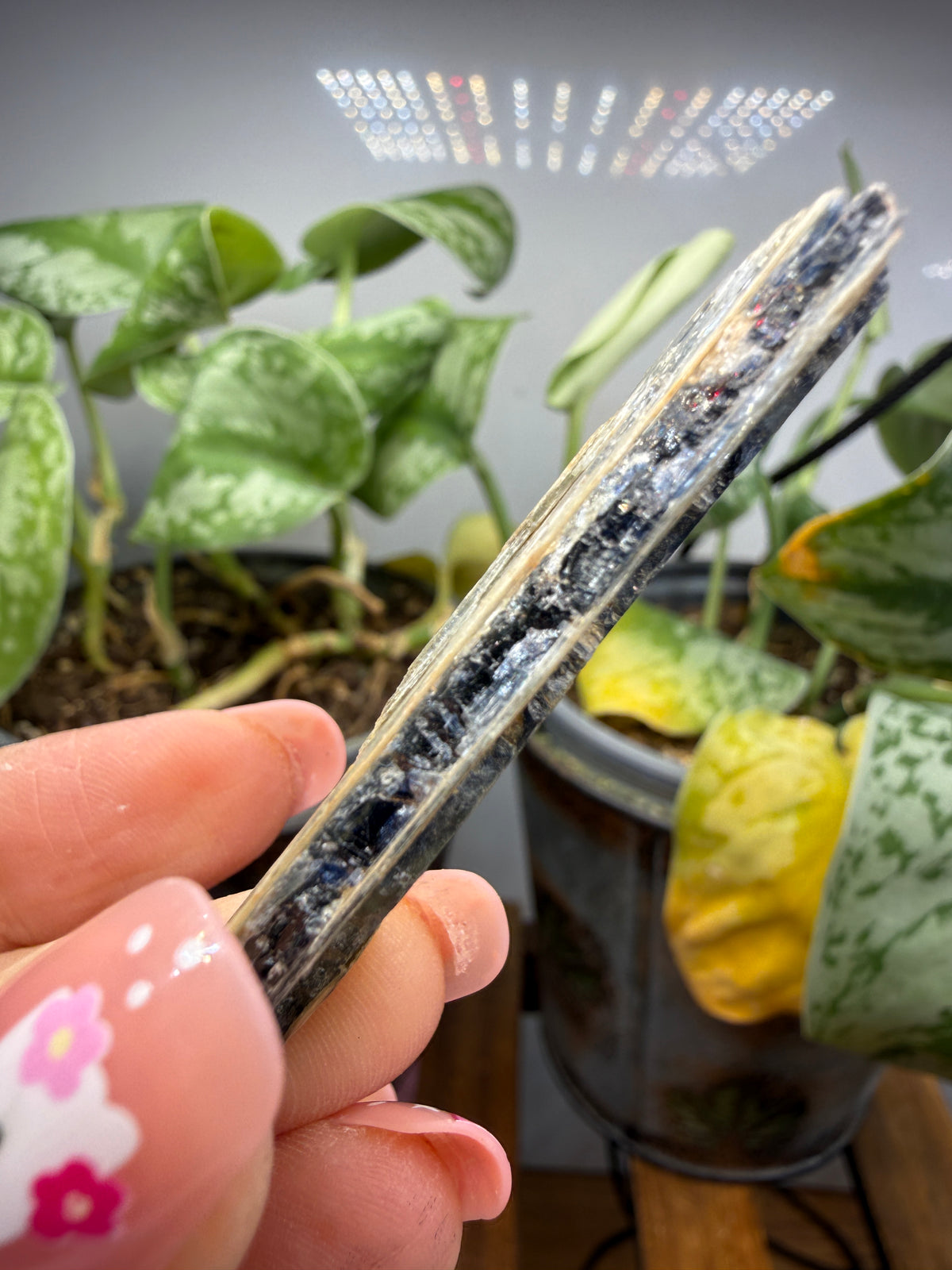 Kyanite (Blue)- Sultan Hamud, Makueni County, Kenya