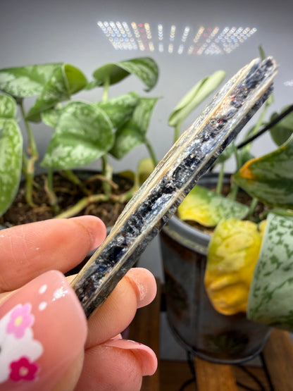 Kyanite (Blue)- Sultan Hamud, Makueni County, Kenya