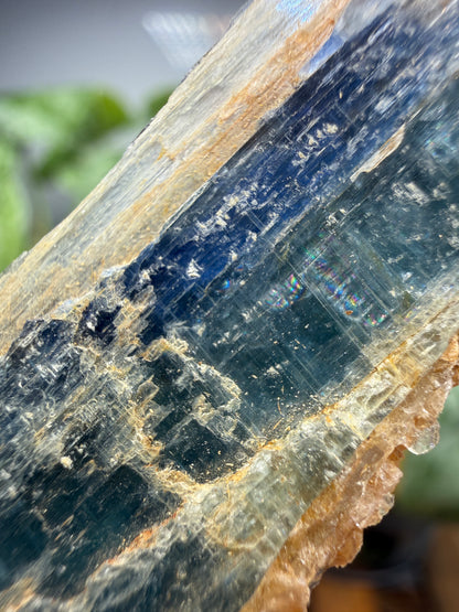 Kyanite (Blue)- Sultan Hamud, Makueni County, Kenya