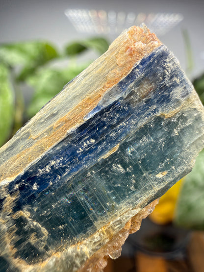 Kyanite (Blue)- Sultan Hamud, Makueni County, Kenya