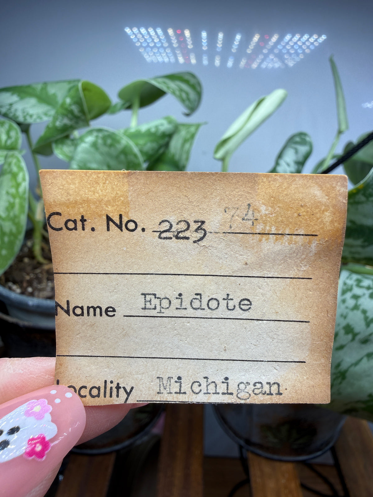 Epidote- Michigan, USA