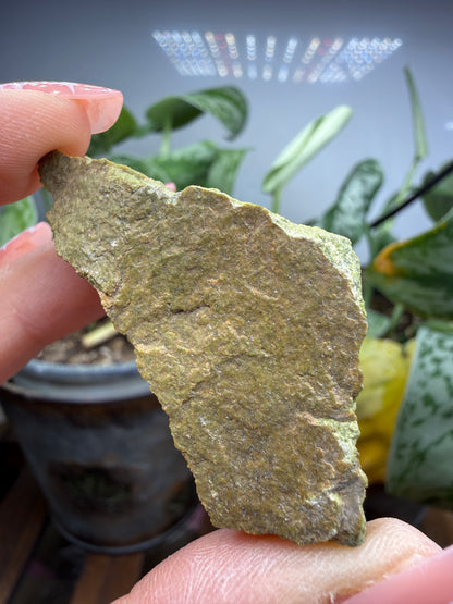 Zoisite- Long Valley, Mono County, California, USA