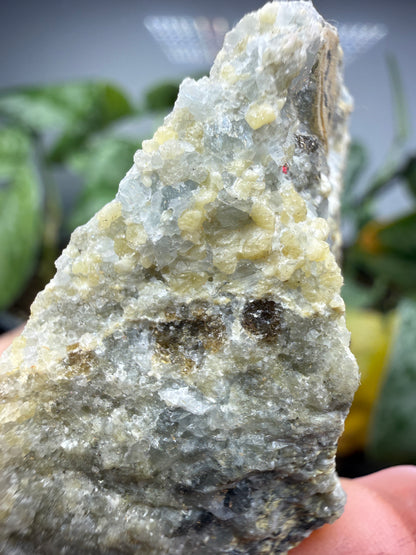 Merwinite with Vesuvianite- Crestmore Quarries (Probable), Crestmore, Jurupa Valley, Riverside County, California, USA