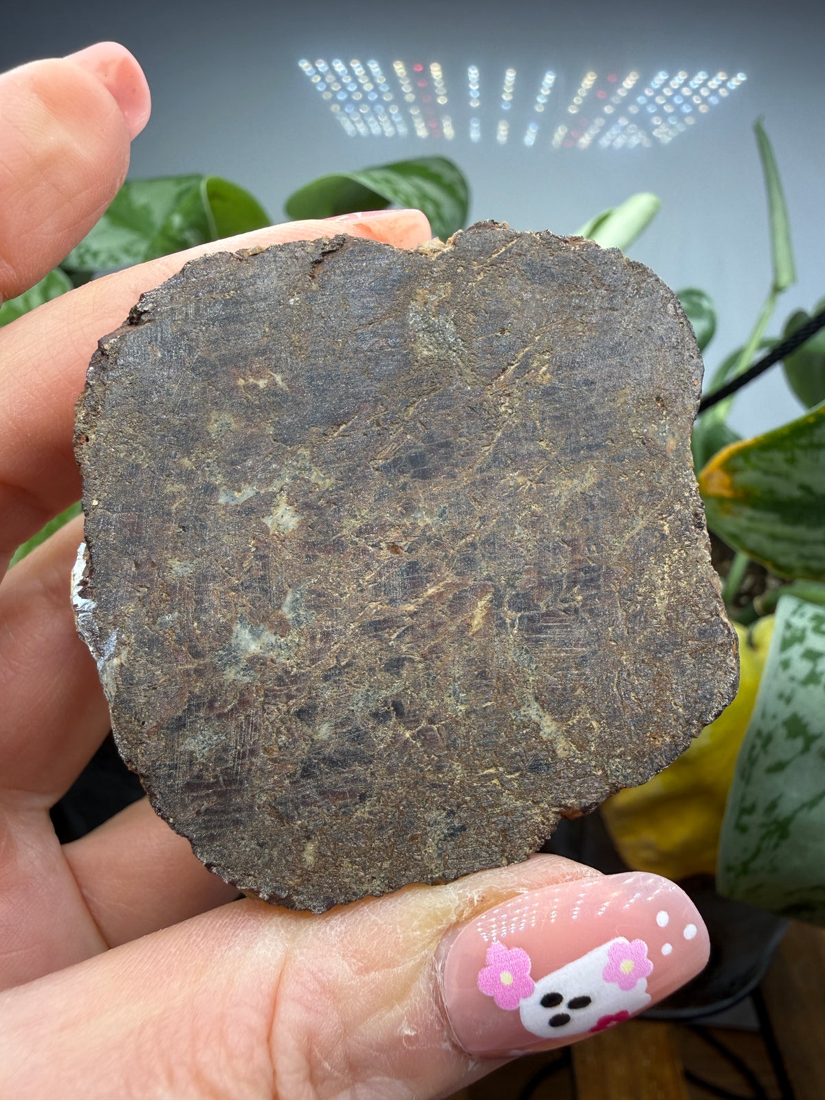 Almandine Garnet (Massive)- Gaffney, Cherokee County, South Carolina, USA