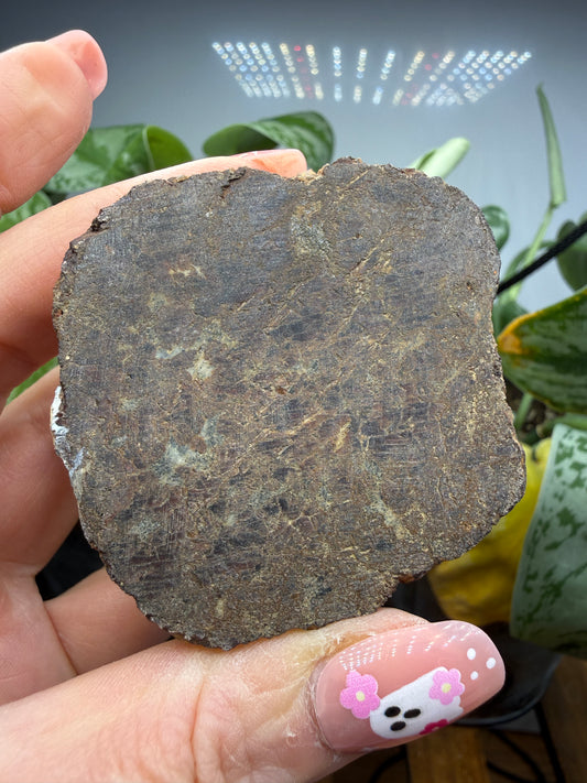 Almandine Garnet (Massive)- Gaffney, Cherokee County, South Carolina, USA