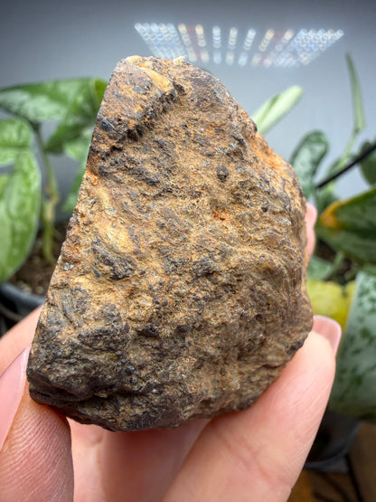 Almandine Garnet (Massive)- Gaffney, Cherokee County, South Carolina, USA