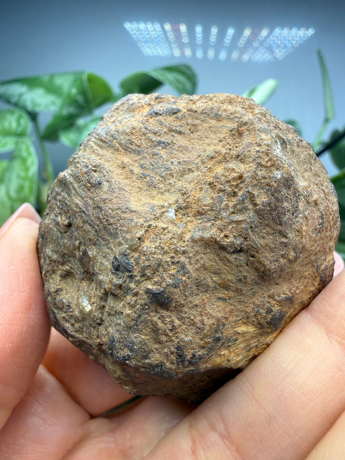 Almandine Garnet (Massive)- Gaffney, Cherokee County, South Carolina, USA