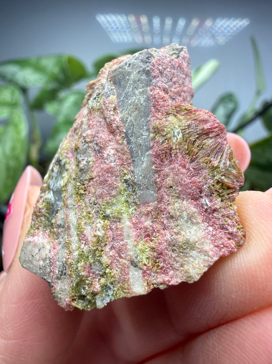 Clinozoisite in Quartz- Álamos, Álamos Municipality, Sonora, Mexico