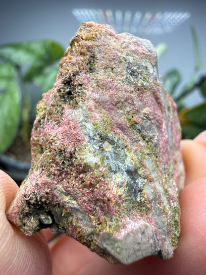 Clinozoisite in Quartz- Álamos, Álamos Municipality, Sonora, Mexico