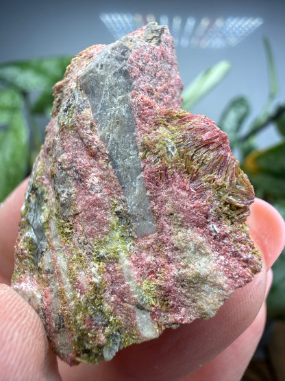 Clinozoisite in Quartz- Álamos, Álamos Municipality, Sonora, Mexico