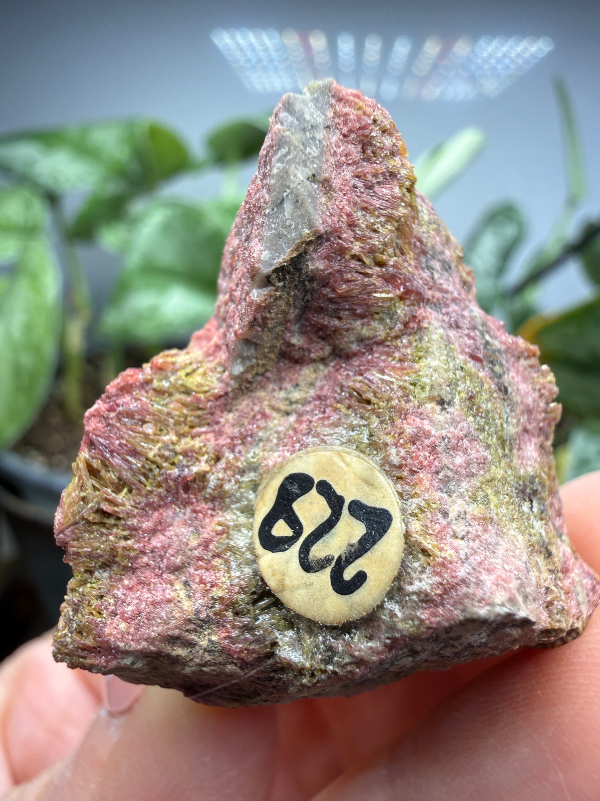 Clinozoisite in Quartz- Álamos, Álamos Municipality, Sonora, Mexico