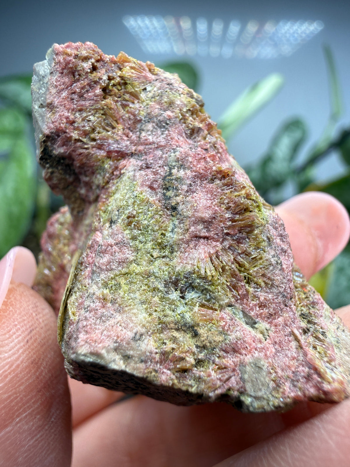 Clinozoisite in Quartz- Álamos, Álamos Municipality, Sonora, Mexico