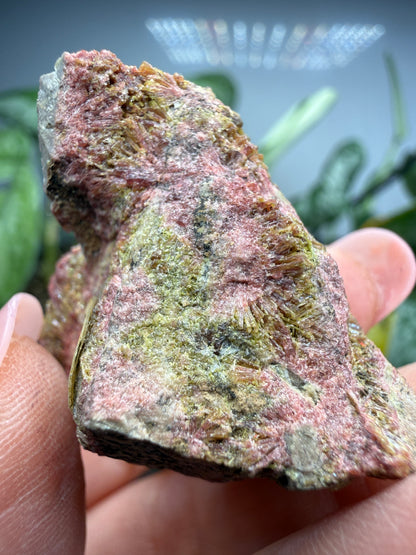 Clinozoisite in Quartz- Álamos, Álamos Municipality, Sonora, Mexico