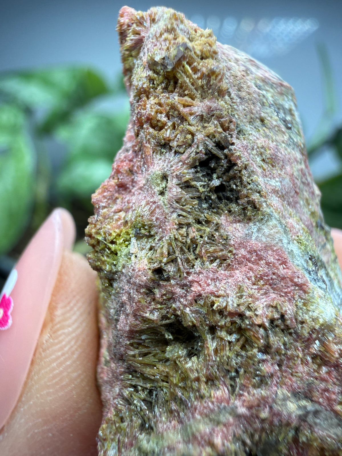 Clinozoisite in Quartz- Álamos, Álamos Municipality, Sonora, Mexico