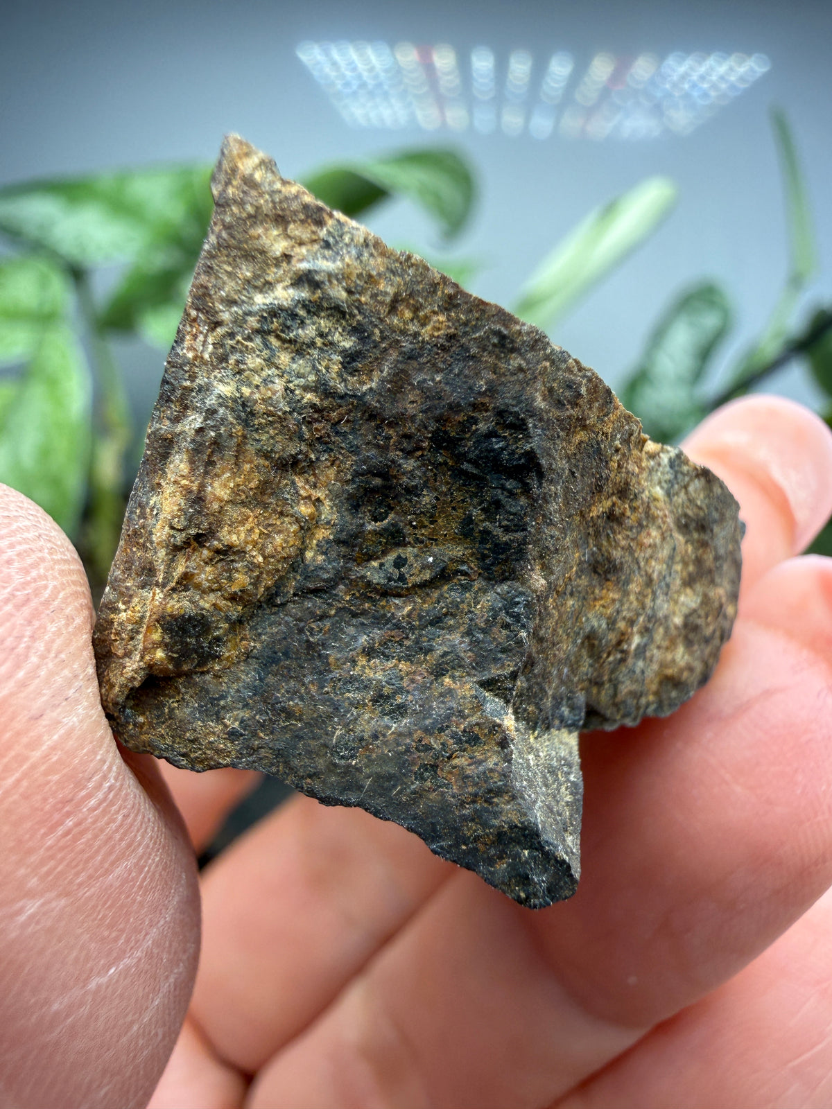 Allanite (Allanite Group)- Mojave County, Arizona, USA