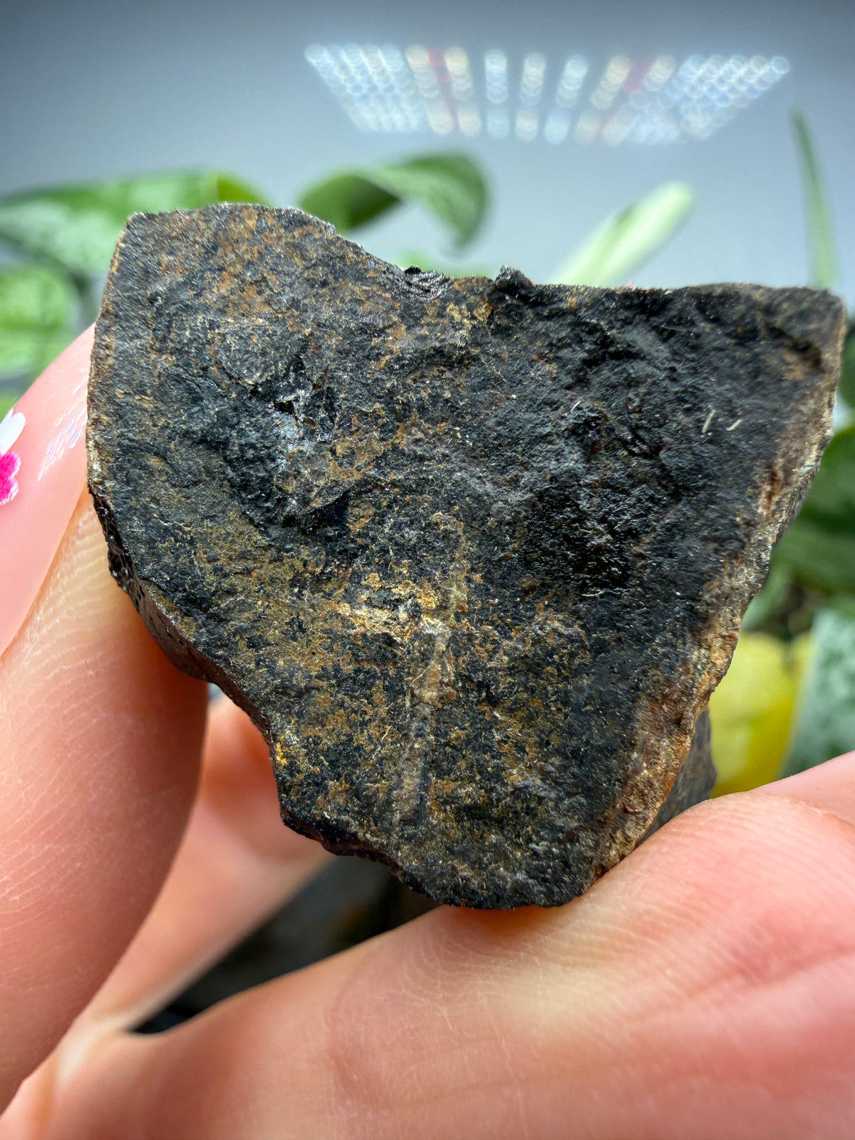 Allanite (Allanite Group)- Mojave County, Arizona, USA