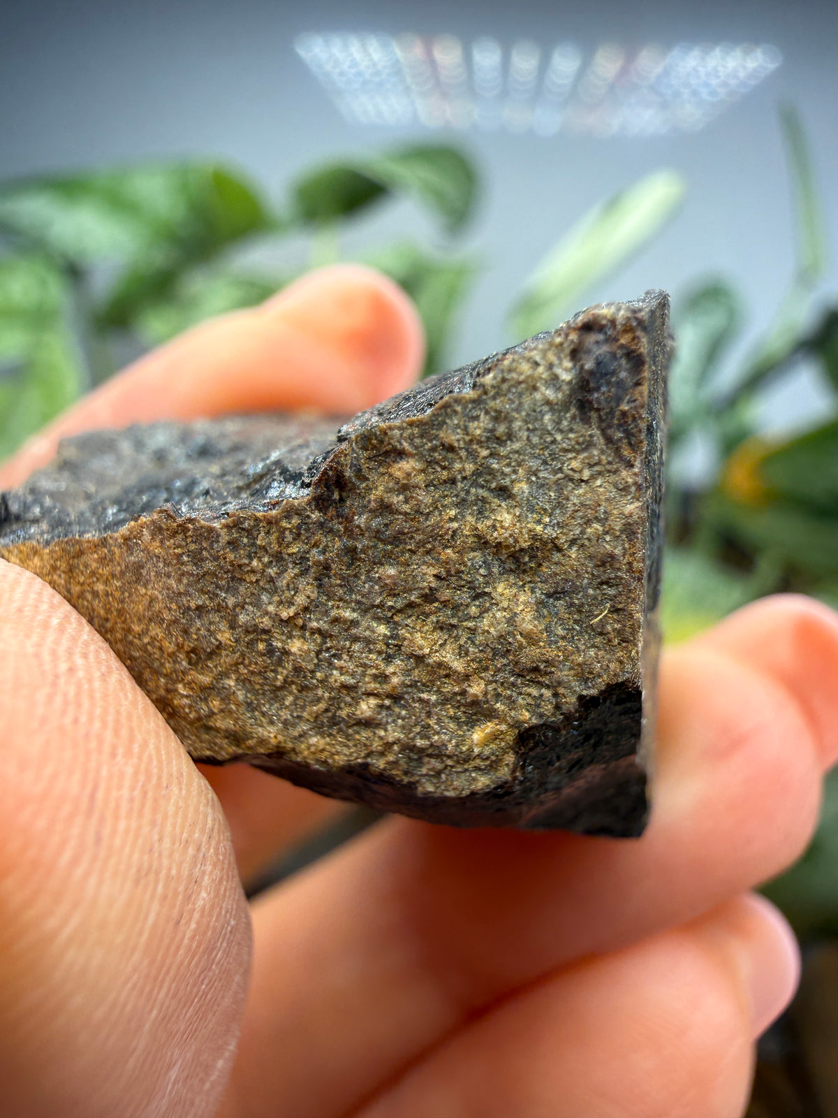 Allanite (Allanite Group)- Mojave County, Arizona, USA
