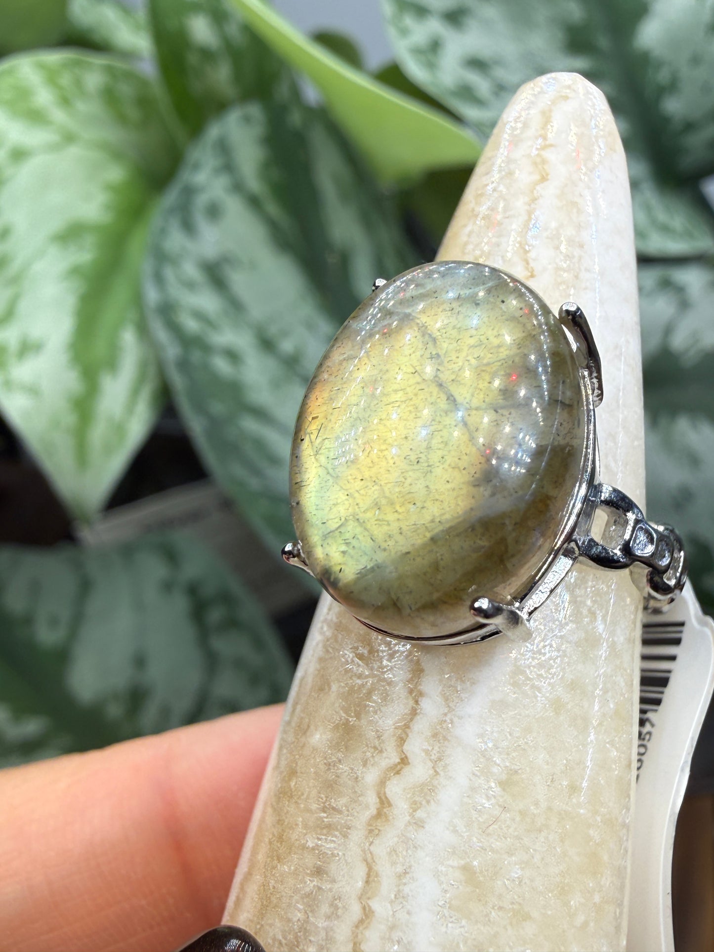 Labradorite Cabochon Ring Size 7 in 316L Stainless Steel- 12x16mm Natural Gemstone