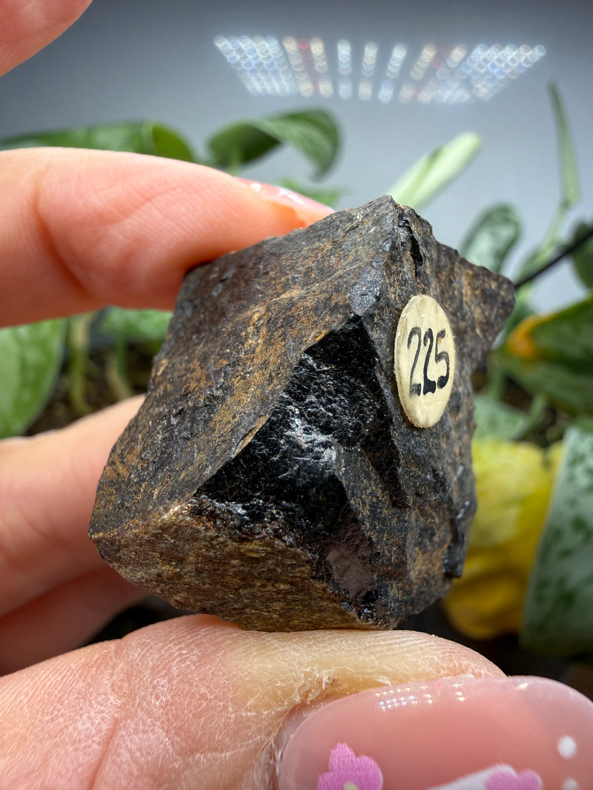 Allanite (Allanite Group)- Mojave County, Arizona, USA