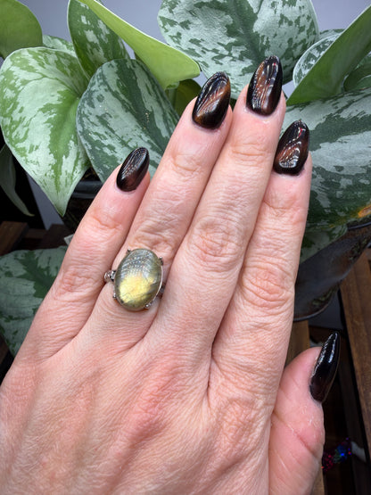 Labradorite Cabochon Ring Size 7 in 316L Stainless Steel- 12x16mm Natural Gemstone