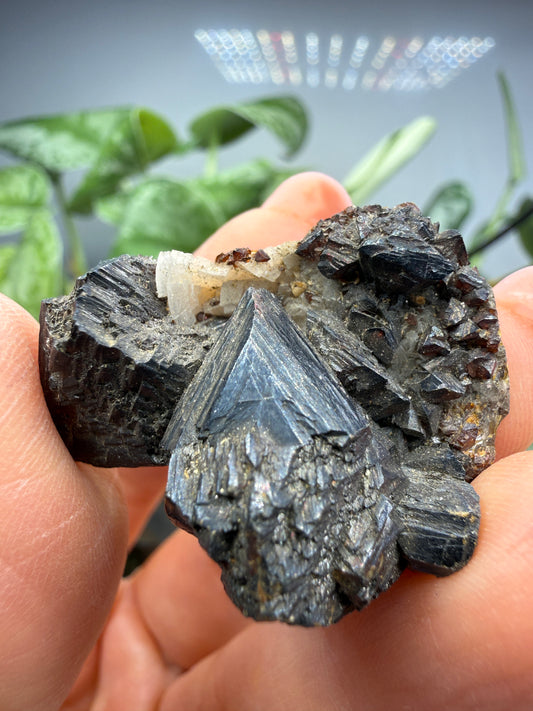 Sphalerite with Dolomite- Joplin, Tri-State Mining District, Jasper County, Missouri, USA