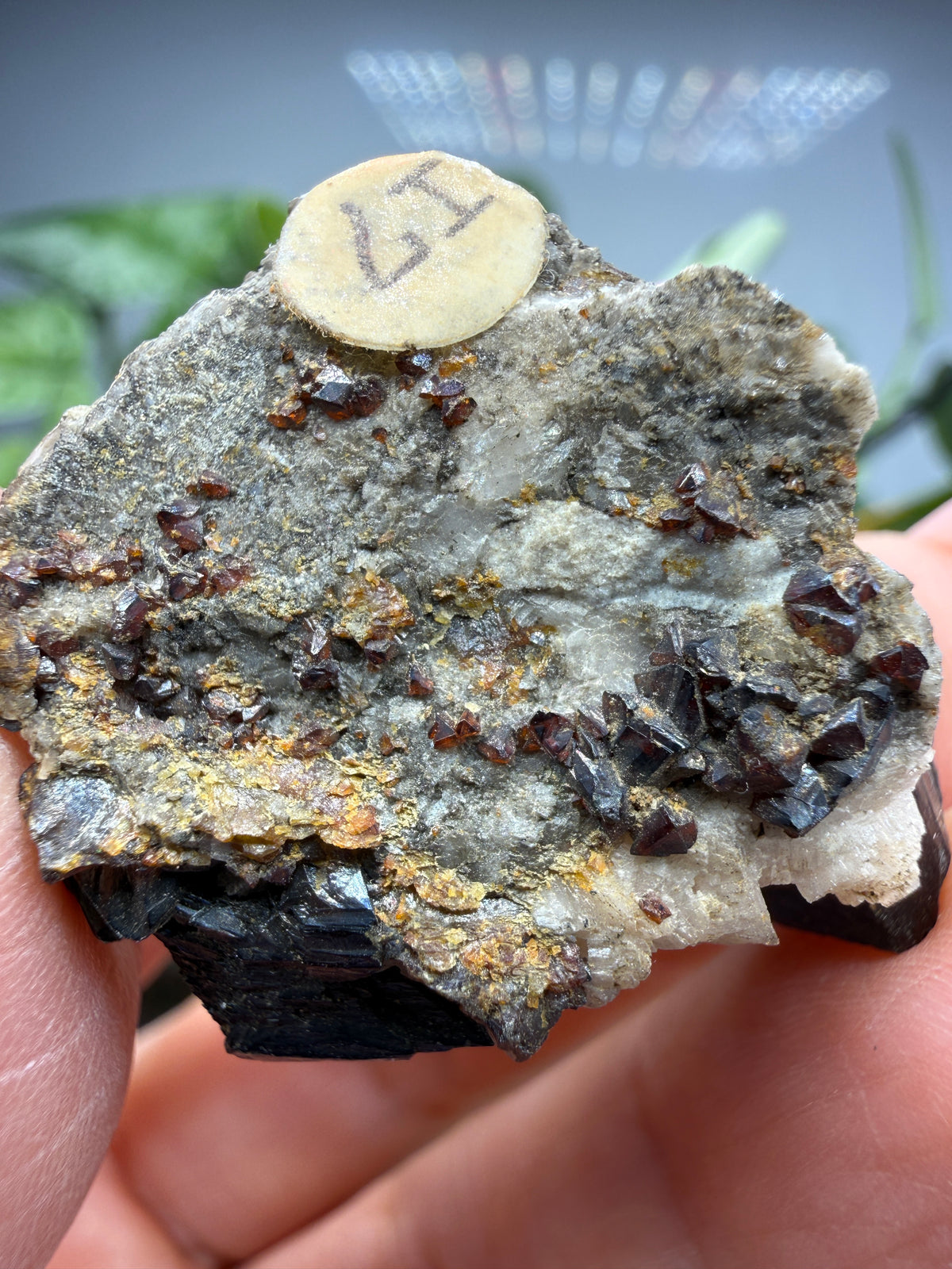 Sphalerite with Dolomite- Joplin, Tri-State Mining District, Jasper County, Missouri, USA