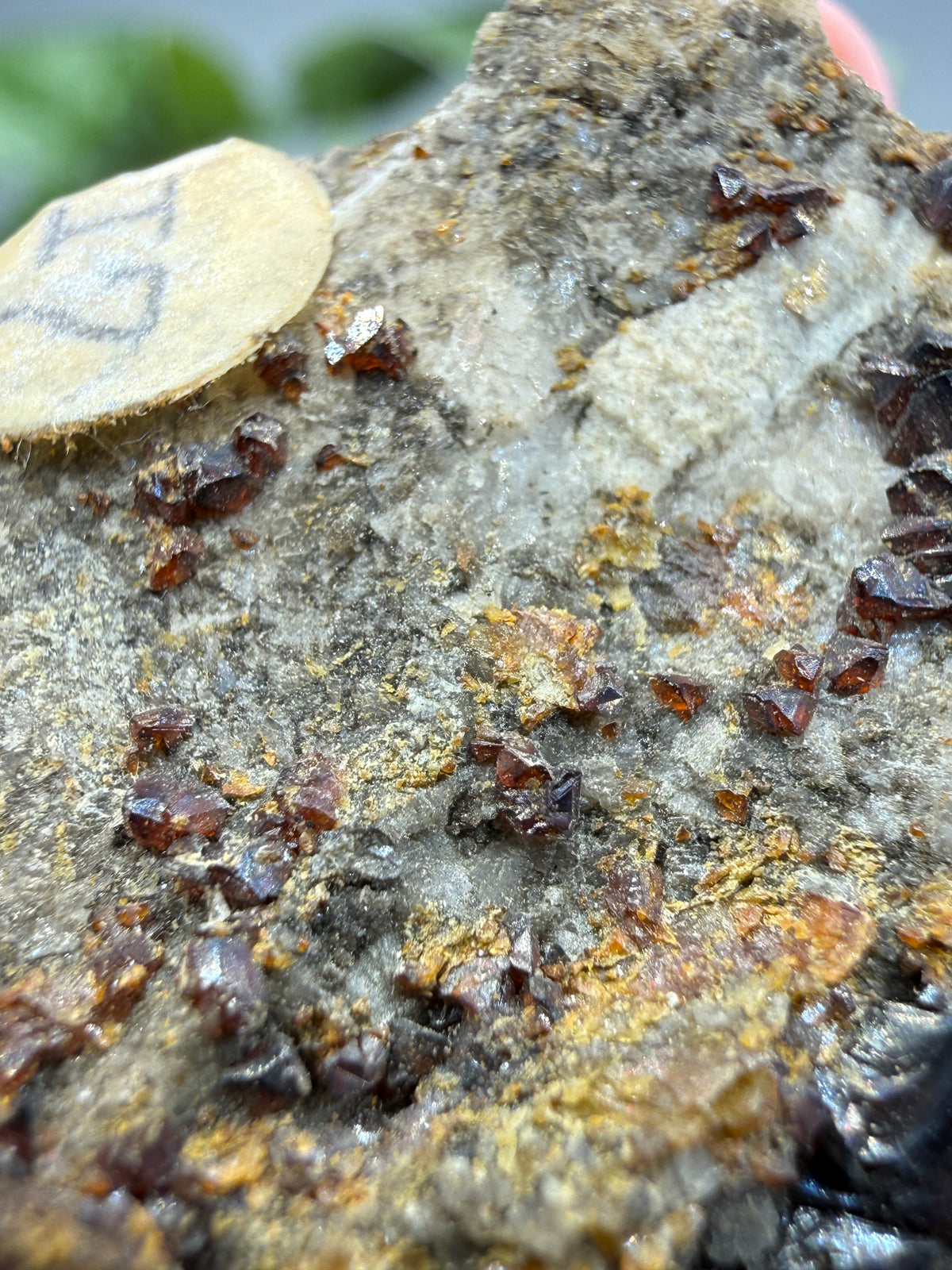 Sphalerite with Dolomite- Joplin, Tri-State Mining District, Jasper County, Missouri, USA