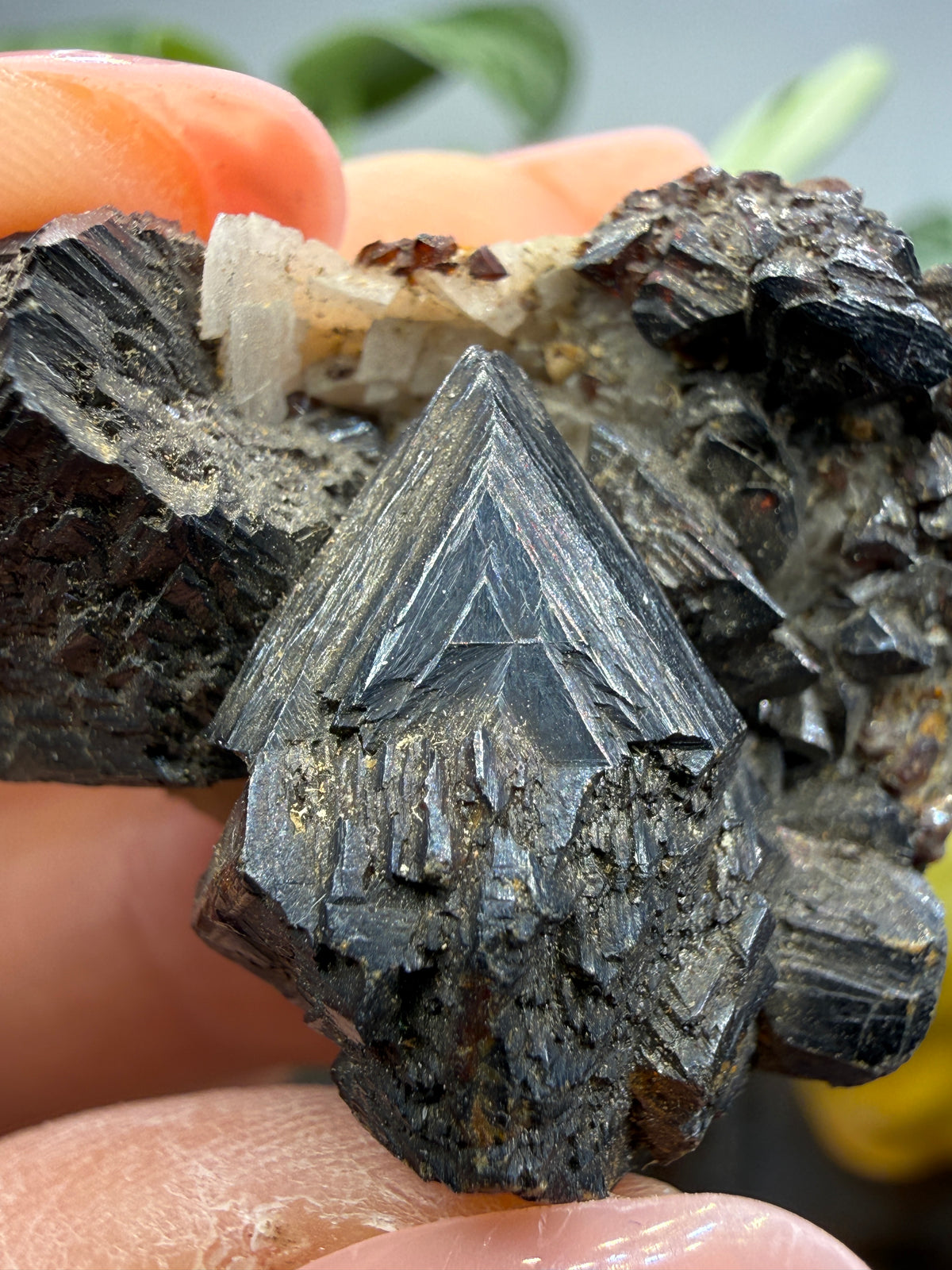 Sphalerite with Dolomite- Joplin, Tri-State Mining District, Jasper County, Missouri, USA