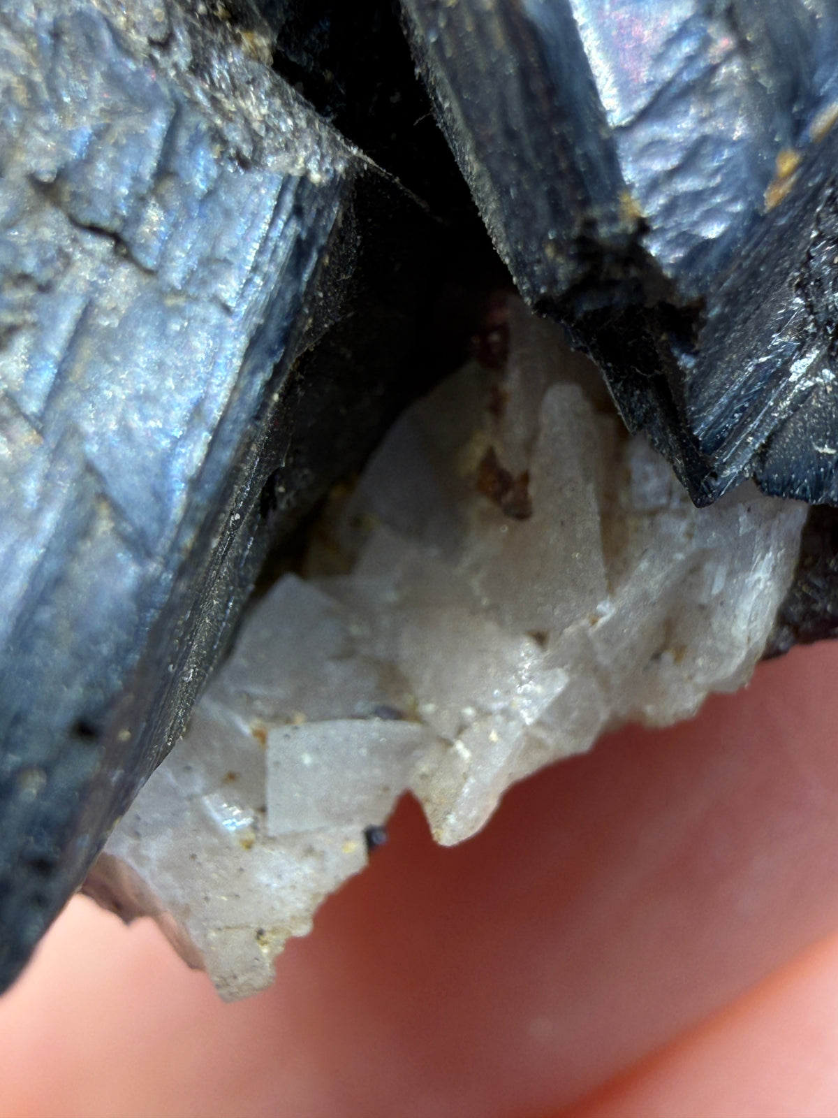 Sphalerite with Dolomite- Joplin, Tri-State Mining District, Jasper County, Missouri, USA