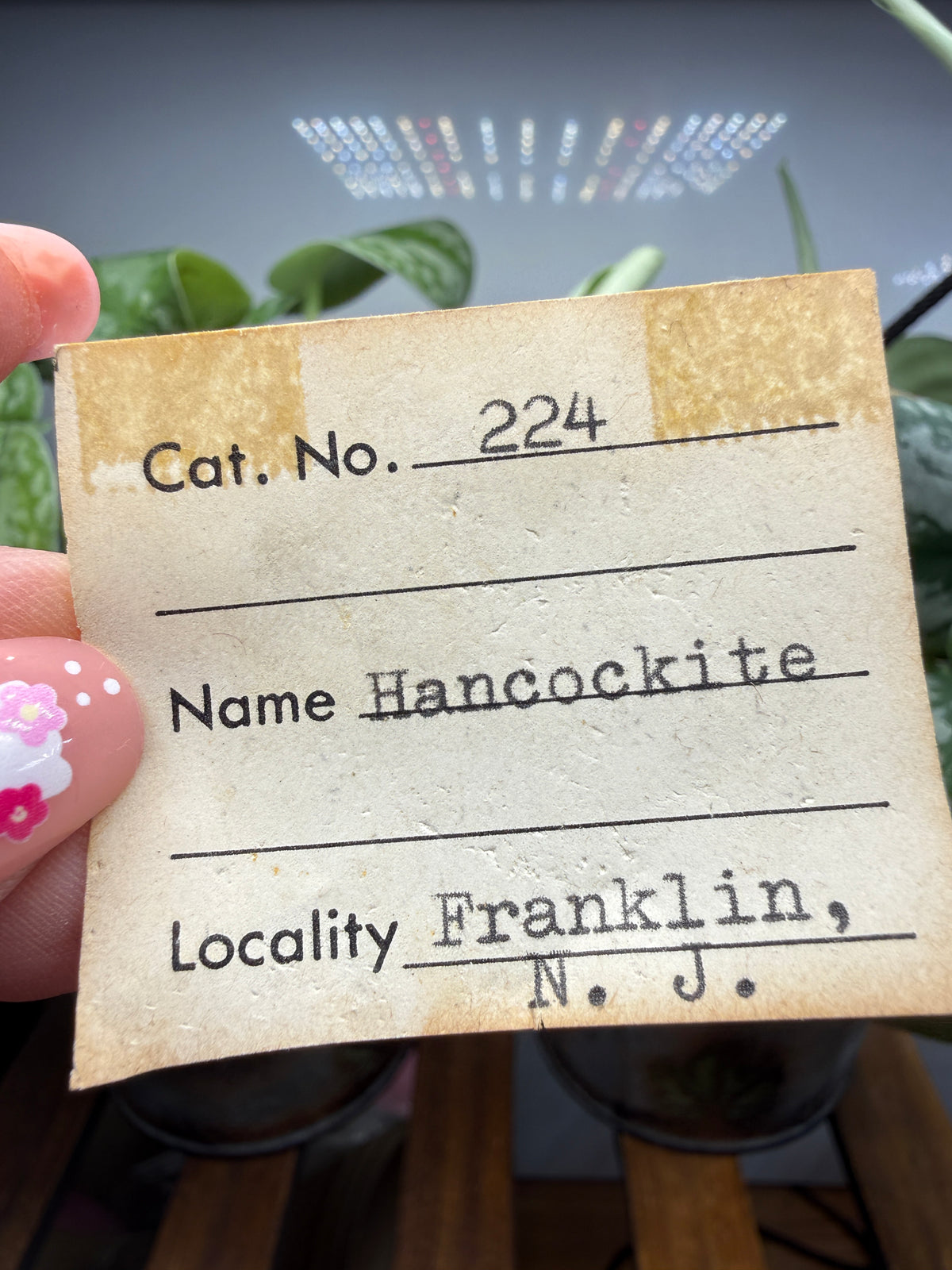 Hancockite- Franklin, Franklin Mining District, Sussex County, New Jersey, USA