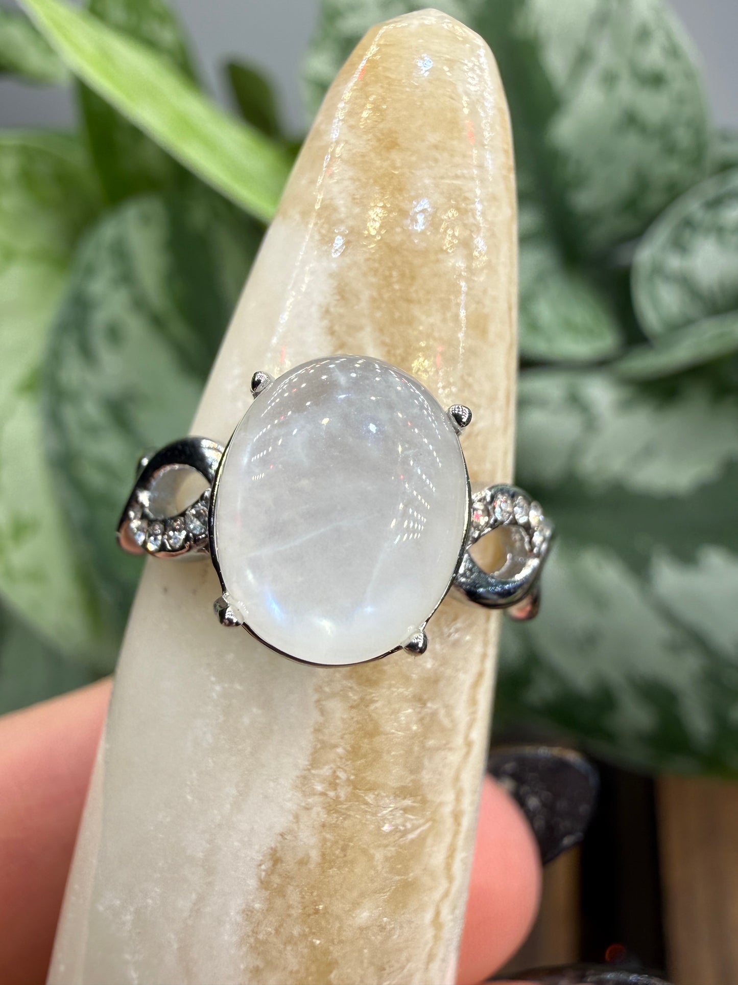 Natural Moonstone Cabochon Ring Size 7 in 316L Stainless Steel- 4x6mm Gemstone