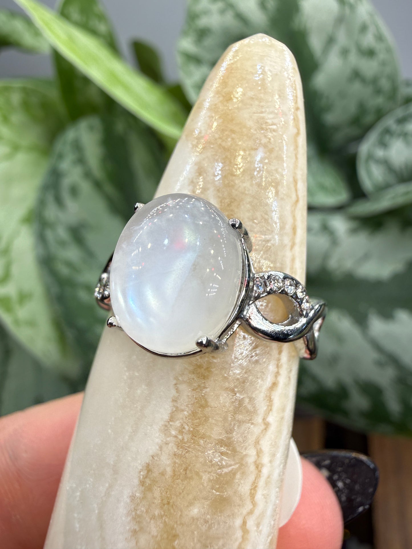 Natural Moonstone Cabochon Ring Size 7 in 316L Stainless Steel- 4x6mm Gemstone