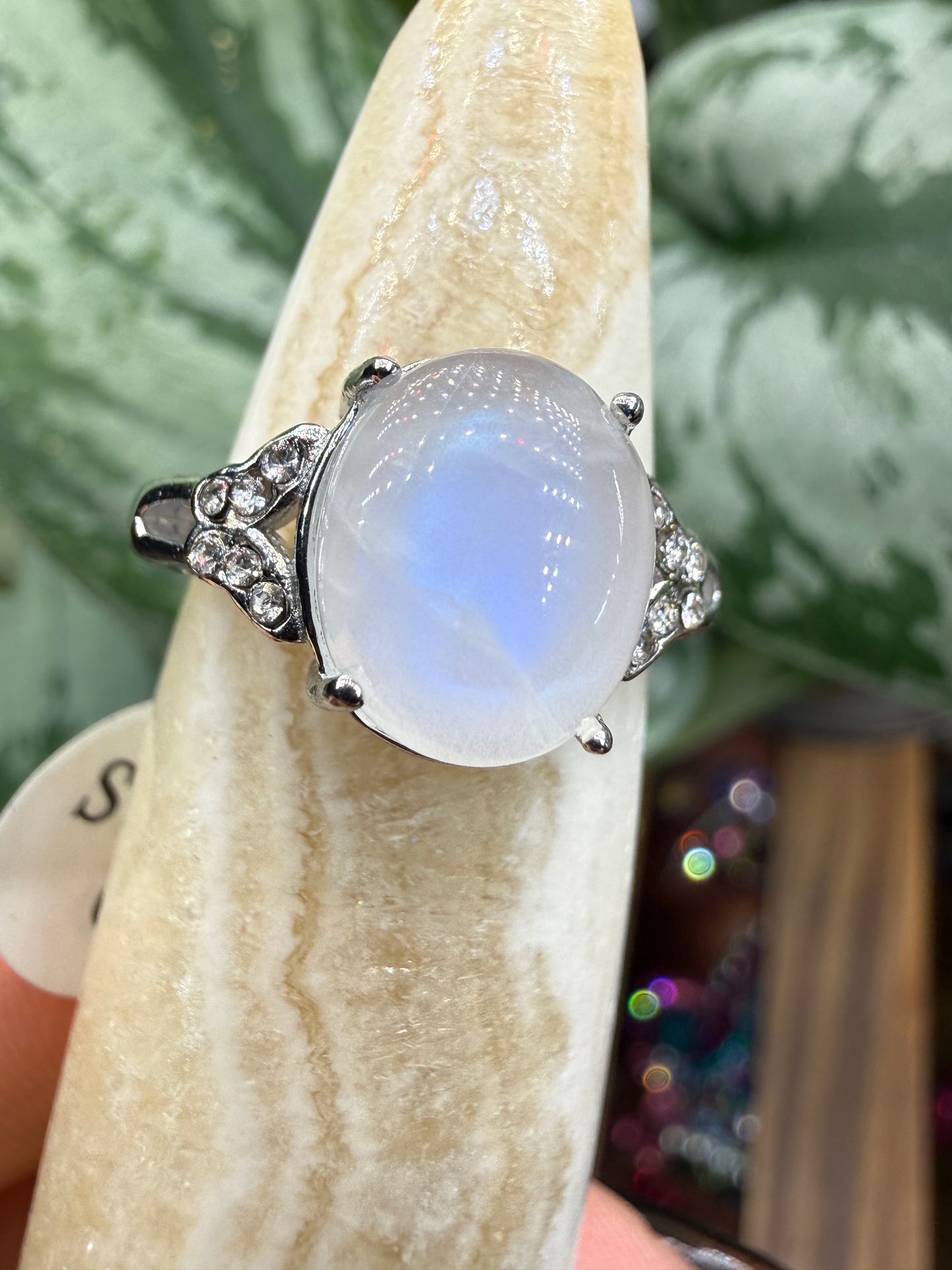 Natural Moonstone Cabochon Ring Size 6 in 316L Stainless Steel- 4x6mm Gemstone