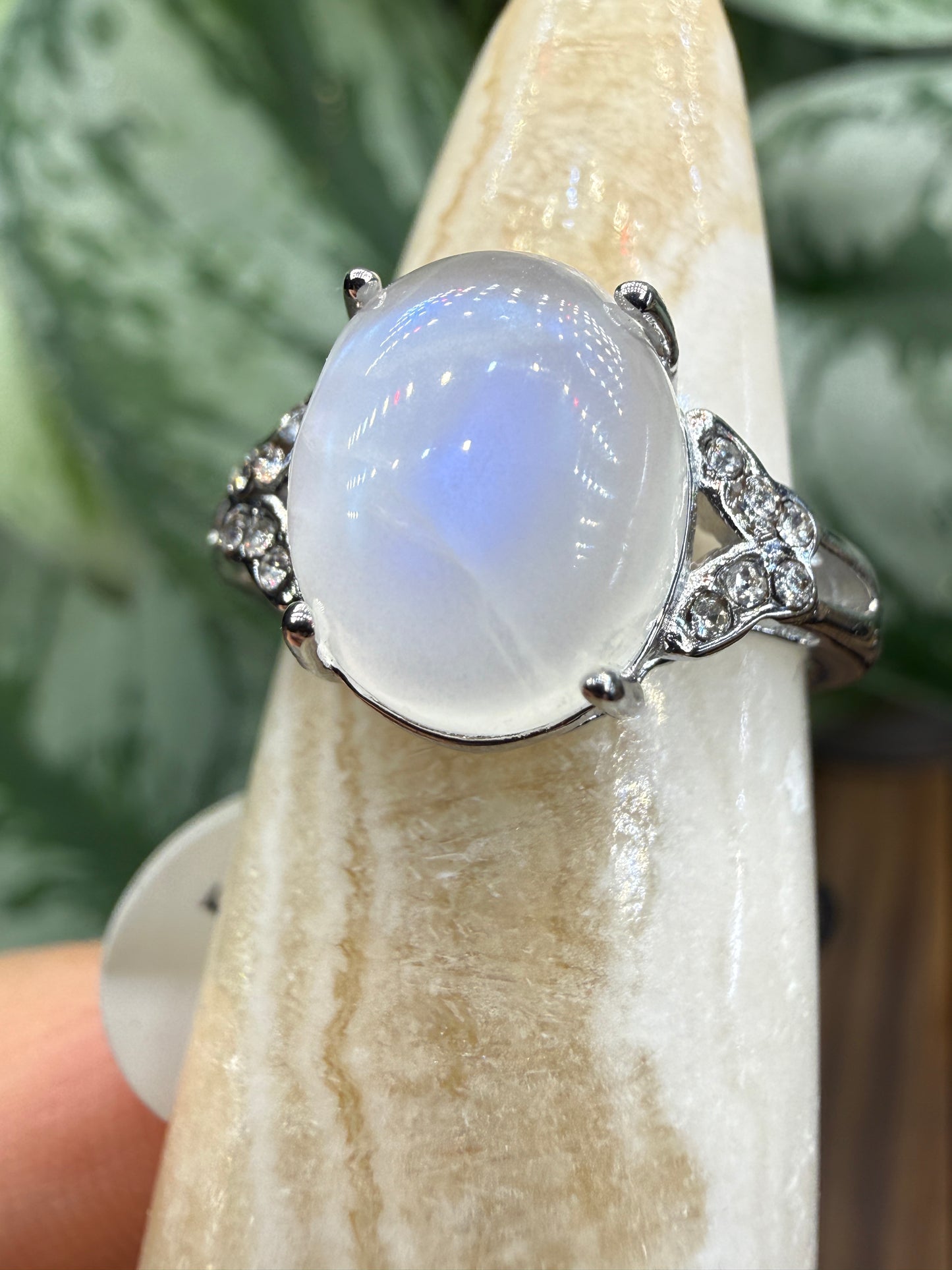 Natural Moonstone Cabochon Ring Size 6 in 316L Stainless Steel- 4x6mm Gemstone