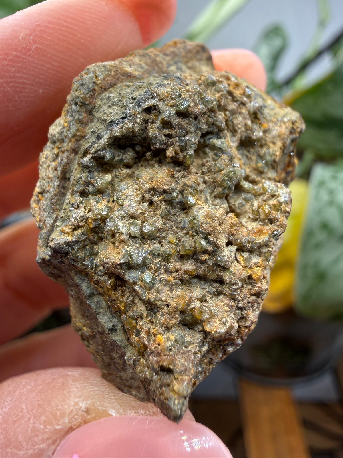 Zircon on Matrix- Minas Gerais, Brazil