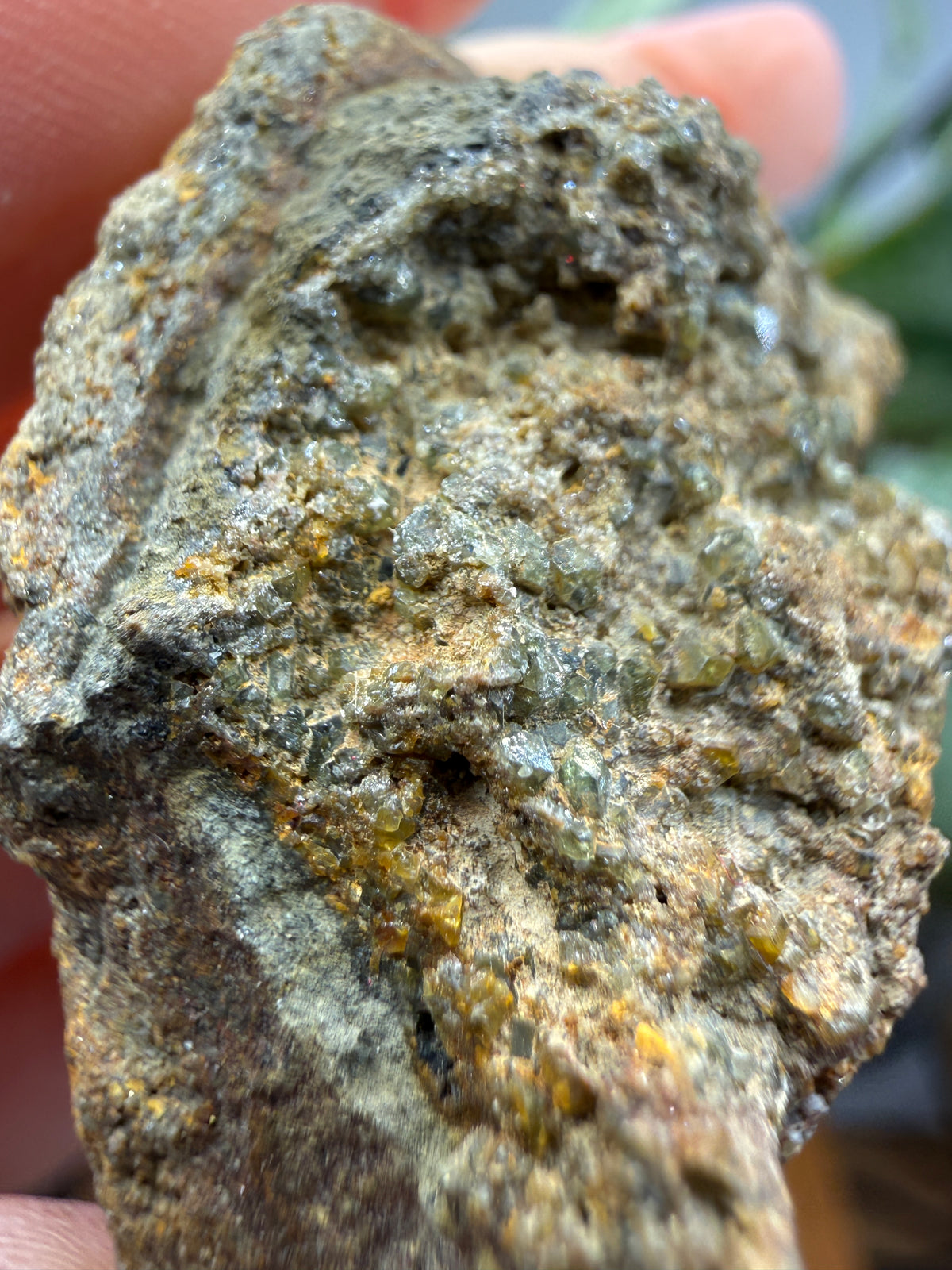 Zircon on Matrix- Minas Gerais, Brazil
