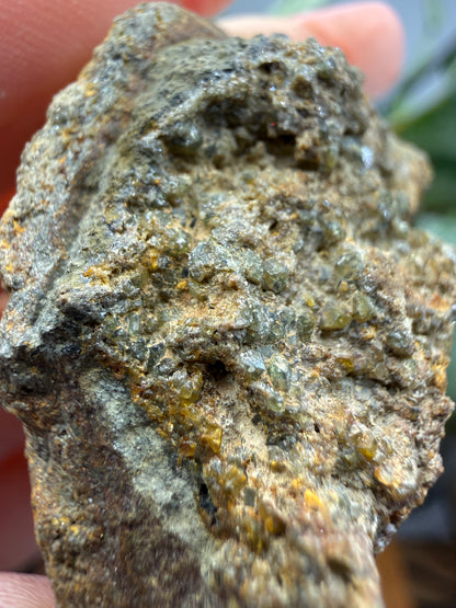 Zircon on Matrix- Minas Gerais, Brazil