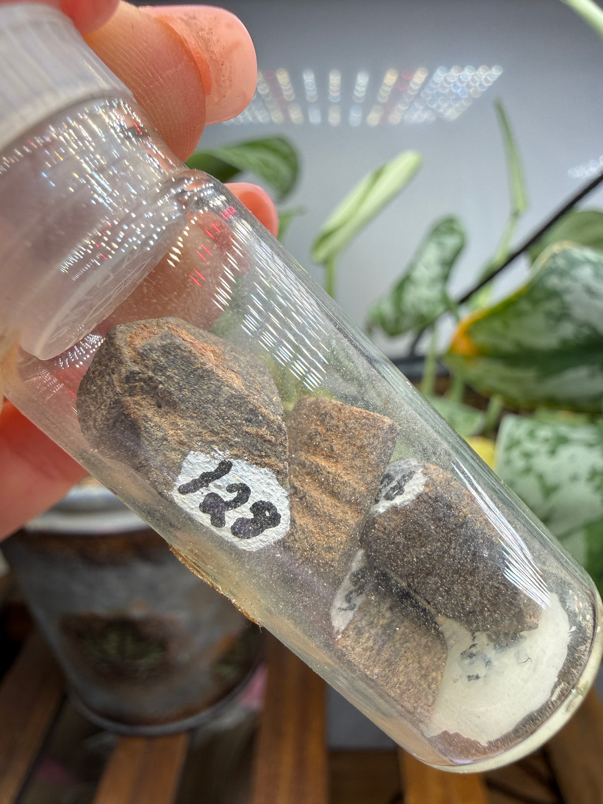 Staurolite- Four Specimens in Vintage Vial- Gaffney, Cherokee County, South Carolina, USA