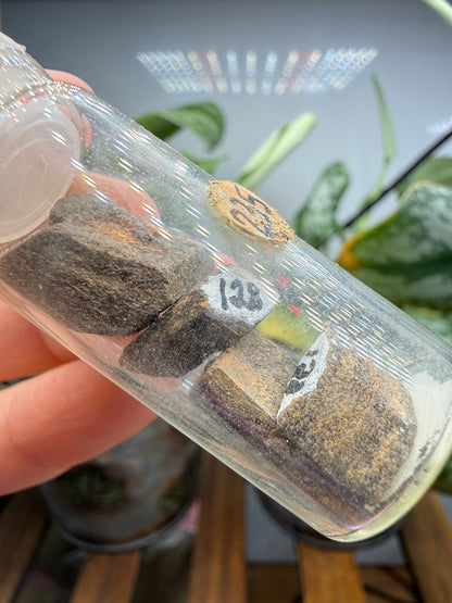 Staurolite- Four Specimens in Vintage Vial- Gaffney, Cherokee County, South Carolina, USA