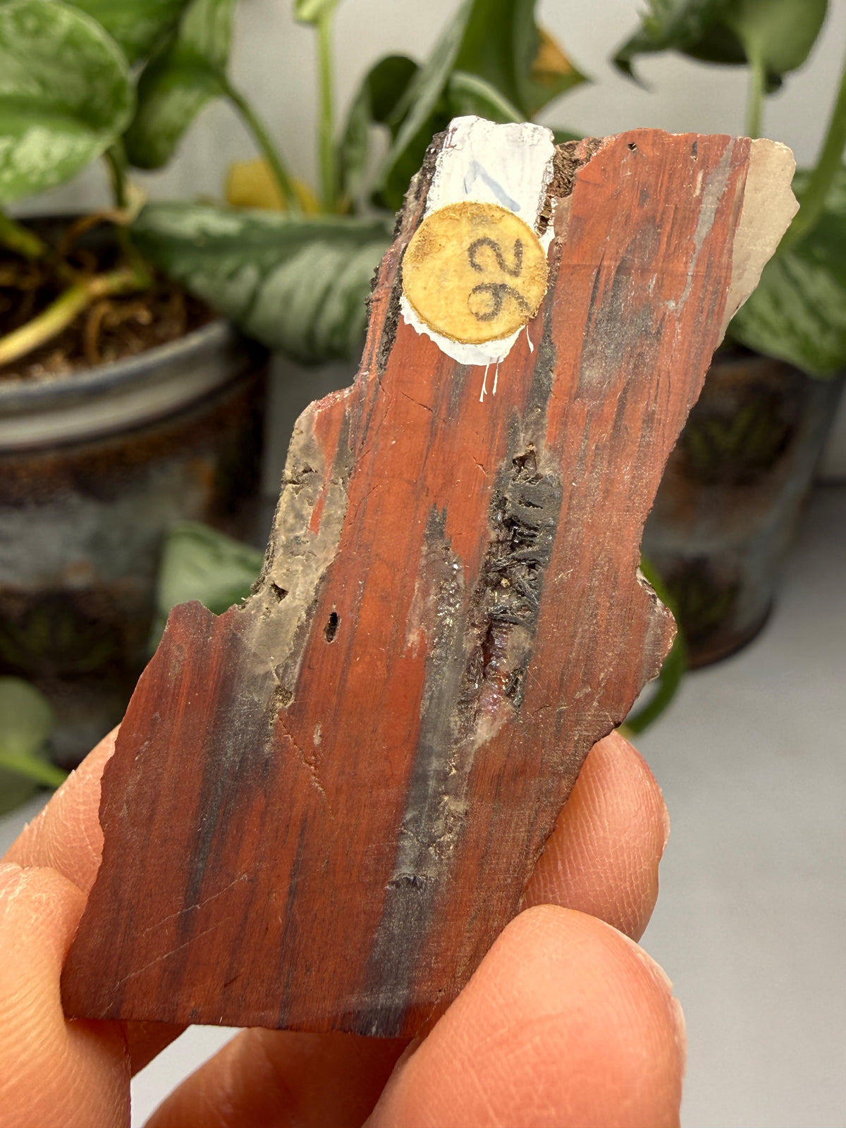 Red Jasper (Binghamite)- Crosby, Crow Wing County, Minnesota, USA