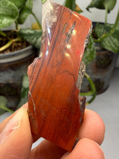 Red Jasper (Binghamite)- Crosby, Crow Wing County, Minnesota, USA