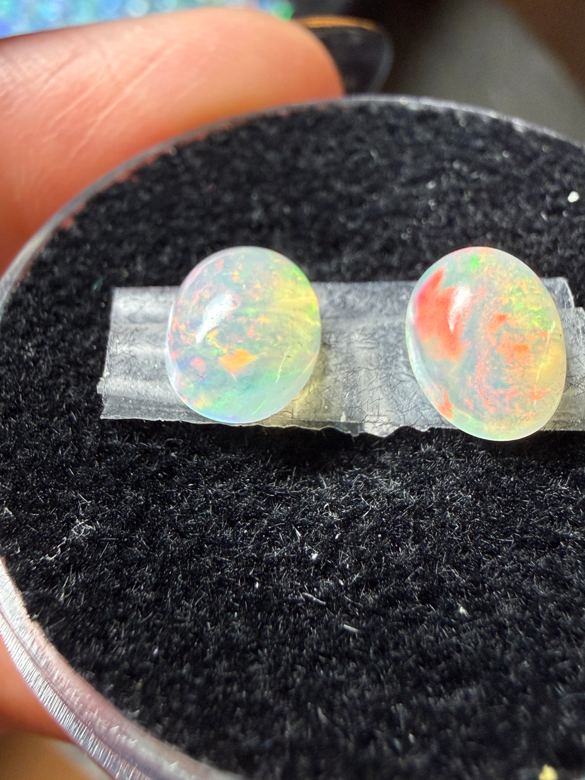 WOW-MATCHED PAIR! Natural Welo Opal Cabochon 8x6x4mm, 1.6ct total- Broadflash/floral/painterly, reds!